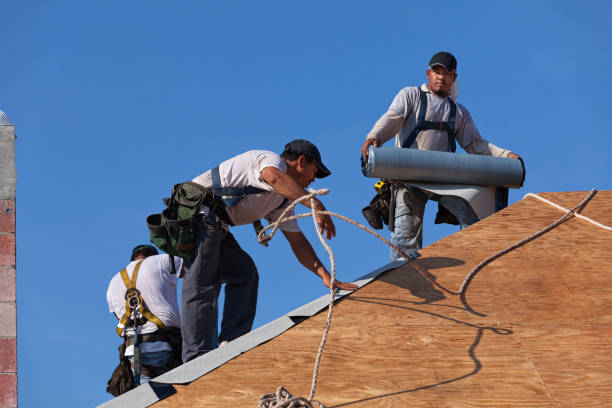 Best Residential Roofing Contractor  in Montevideo, MN