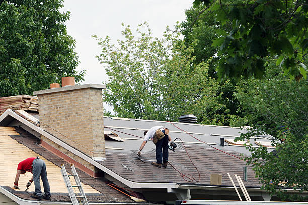 Best Flat Roof Repair Services  in Montevideo, MN
