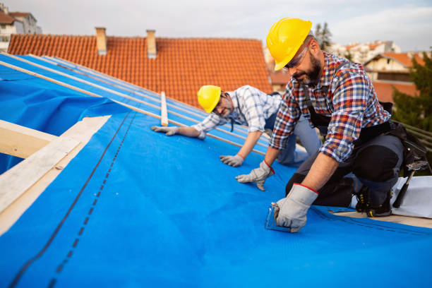 Roof Gutter Cleaning in Montevideo, MN