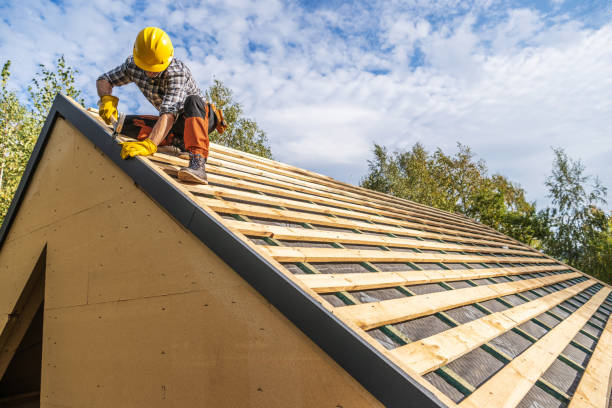 Best New Roof Installation  in Montevideo, MN