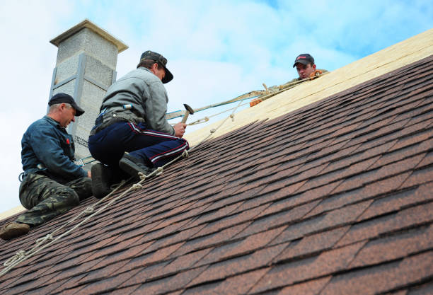 Best Roof Waterproofing Services  in Montevideo, MN